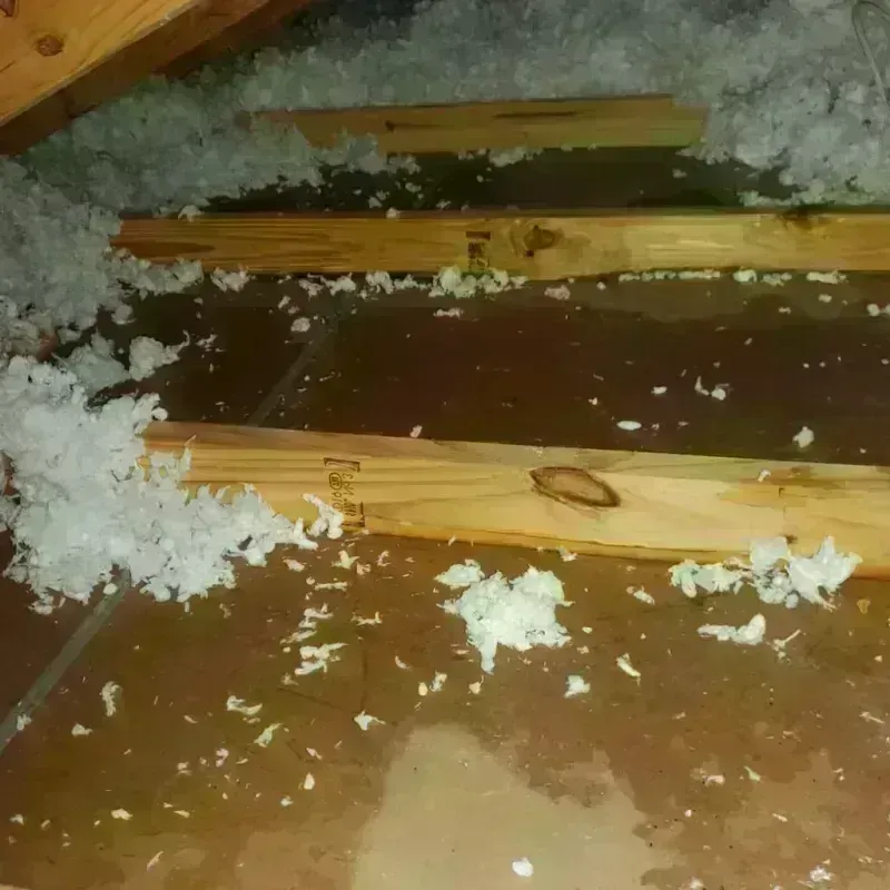 Attic Water Damage in Mona, UT