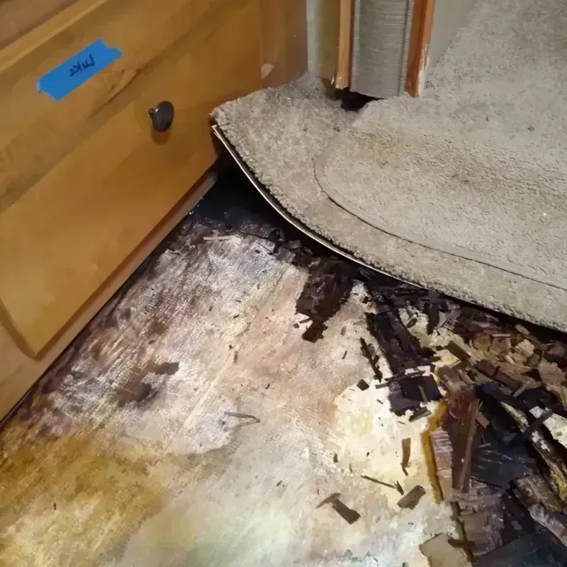 Best Wood Floor Water Damage Service in Mona, UT